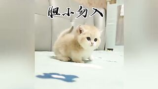 Let’s play