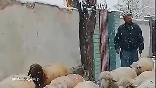 Best scene of 2022 || Best video of the year || Amazing video