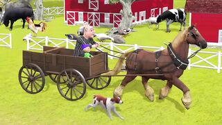 Old McDonald pet animals in farm