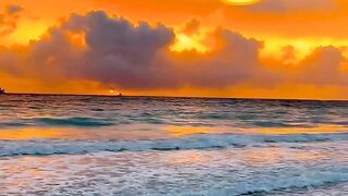 Sad but true Words motivation Video
