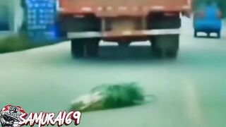 funny viral scene amazing meme