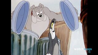 Top 10 worst thing happned with tom