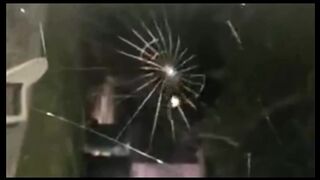 Spider web making