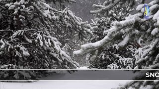 Amazing Video after snowfall in Rawalakot Azad Kashmir