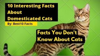 Top 10 interesting facts about domesticated|best of pets #febspot