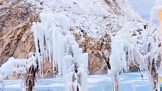 Nature status #nature Whatsapp status #nature photography