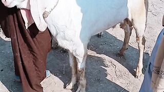 Amazing video