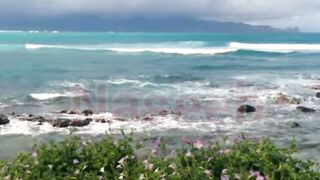 Beautiful beaches