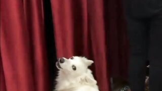 Sourav joshi Roast video ????