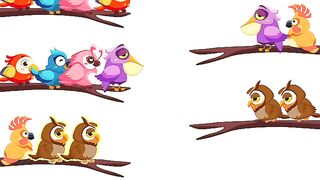 Bird sort color level 37