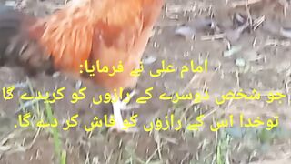 Hazrat Ali  Quoets
