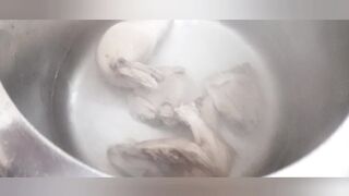 Chicken soup Chinese soap-kausar Bent@kausarKichanrecipes786