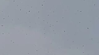 Snow fall in Parachinar Kurrum Agency Pakistan