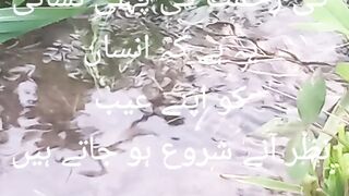 فرمان حضرت علی کرم اللہ وجہہ