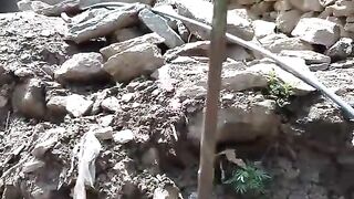 Pakistan swat and tik tok best video