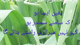 Hazrat Ali k iqwal