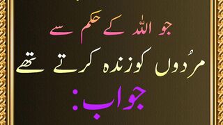 islamic sawal| islamic history| history4u|hindi&urdu|