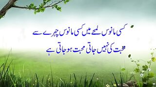 2 Lines Mohabbat Poetry__|_Mohabbat Shayari_|_ Urdu Sad Poetry