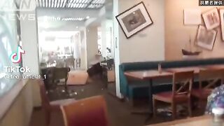Massive Earthquake 9.1R in Japan