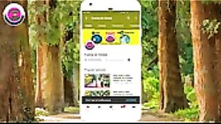 funny videos