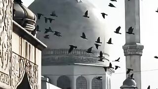 Islamic lines