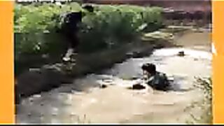 funny videos