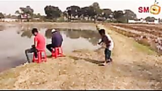 funny videos