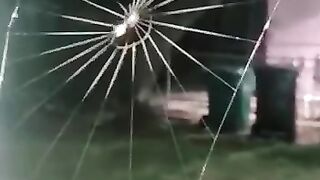 Spider Art