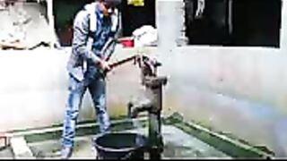 funny videos