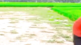 Must watch Very special New funny comedy videos amazing funny video 2023