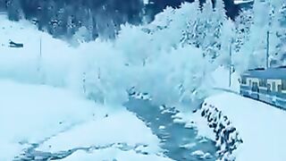 Nature is beautiful