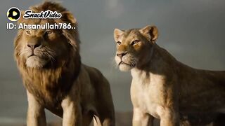 Very nice movie