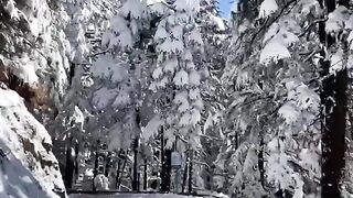 Kashmir is beautiful