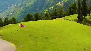 Beautiful view of nature 8