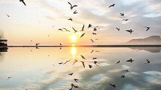 Beautiful view of nature 10