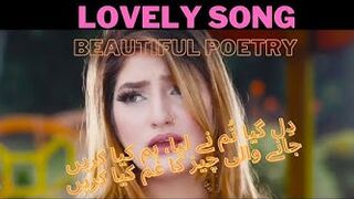 Urdu Song Dil Gaya Tum ne Liya