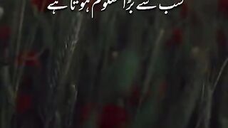 کیا روگ دے گئی ہے یہ نئے موسم کی بارش-مجھے یاد آرہے ہیں مجھے بھول جانے والے