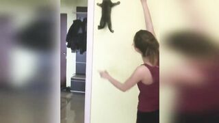 приколы с котами 2020