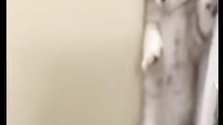 Cute Baby Cats With Dog???? Viral cats ????Pet lovers ????#shorts #cat #pet #youtubeshorts
