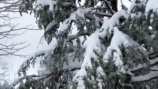 Beautiful view of nature 18