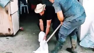 Funny Workshop Man 2023
