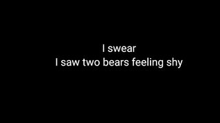 Poem "I saw two bears falling in love"