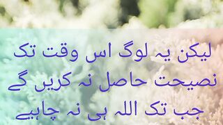 Daily ayat, most beautiful tilawt , Islamic status