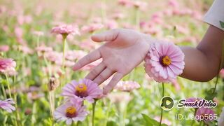 Daily mind motivation and relaxing video