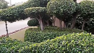 Nature Beauty