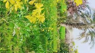 how to get 1000 subscribe 1day