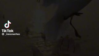 Islamic video| inshallah |status