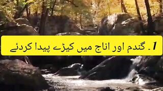 ahadees in urdu | islamic video