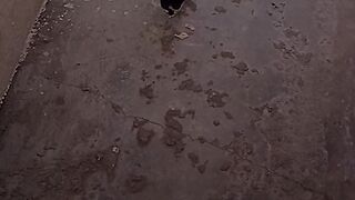 My daughter playing with her cat