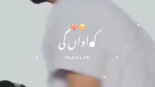 Pani, pani